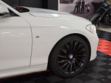 BMW 120d 3-trg. *M-SPORT* (CARBON/APPLE/SPURH/8xALU/ - BMW 120 aus 2016