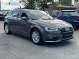 Audi A3 Sportback 2.0 TDI Quattro SHZ AHK NAVI Kamera - Audi A3 mit Diesel-Antrieb: Limousine, 2.0