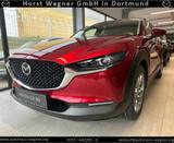 Mazda CX-30 Takumi 186 PS *Leder*GSD*Bose*Kamera*Neuwa - Mazda CX-30 Takumi mit Hybrid-Antrieb (Benzin/Elektro)