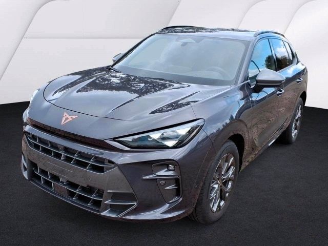 Image of Cupra Terramar