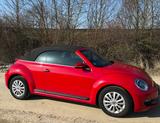Volkswagen Beetle 1.2 TSI BMT Cabriolet - - Volkswagen Beetle in Hannover