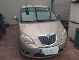 Lancia MUSA 1.4 16v Platino Gran Luce Sironi perlmutt  - Lancia MUSA: Platino