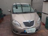Lancia MUSA 1.4 16v Platino Gran Luce Sironi perlmutt  - Lancia MUSA aus 2008