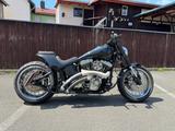 Harley-Davidson Harley Davidson Custom Bike