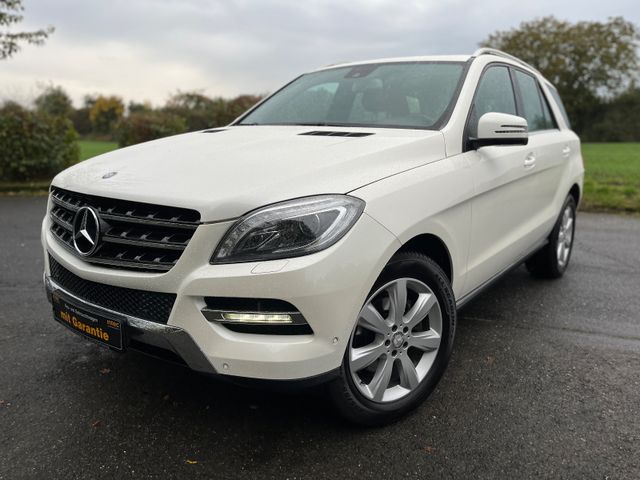 Mercedes-Benz ML 250 ML -Klasse ML 250 CDI BlueTec Xenon/Led