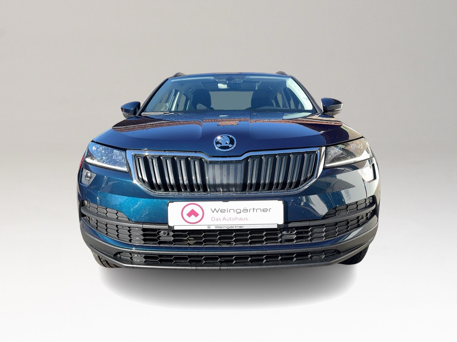 Karoq Style 4x4 2.0 TDI, Pano, LED, Business Amu