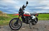Ducati Scrambler Urban Motard  - Offers matching your search criteria