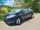 Ford Fiesta 1,25 60kW Trend, Winterpaket!