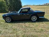 Triumph TR4 - gebrauchte Triumph Cabrios