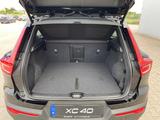 Volvo XC40 B3 Plus Black Edition 20" 360° ACC FHZ LED - Volvo XC40 in Erfurt