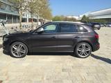 Audi SQ5 3.0 TDI tiptronic quattro -