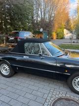 Alfa Romeo Spider - Alfa Romeo aus 1984