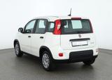 Fiat Panda 1.0 M-Hybrid Sport DAB PDC Klima USB - Fiat Panda: 1.0