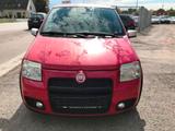 Fiat Panda 1.4 16V 100HP/Klima/Alufelgen - Fiat: A 16