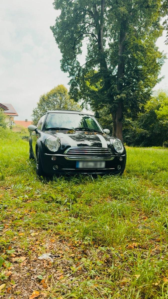MINI Cooper C