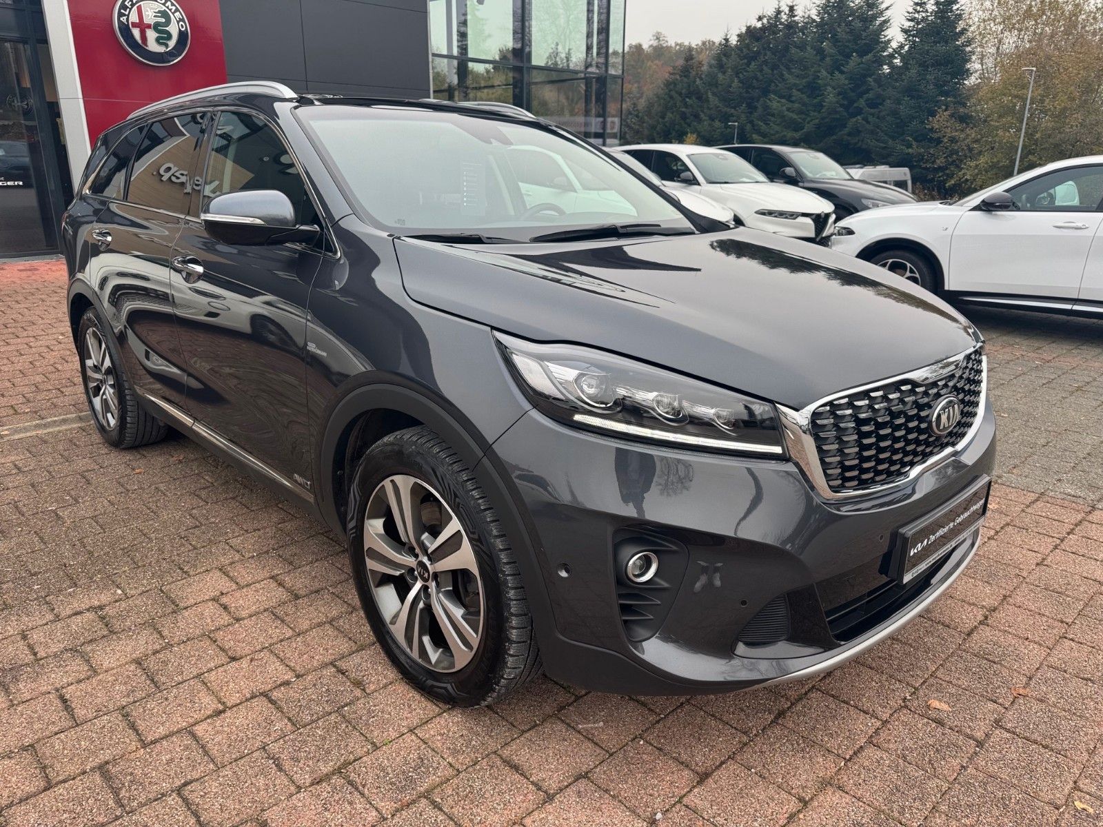 Fahrzeugabbildung Kia Sorento 2,2 CRDI AWD/ Platinum/ 7 Sitzer/ 360°