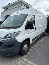 Citroën Citroen Jumper frischdienst Fahrt und Stan... - Citroën Jumper in Köln