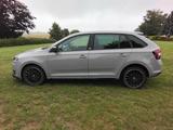 Skoda Rapid, Monte Carlo - Skoda Rapid: Monte Carlo