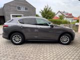 Alfa Romeo Stelvio 2.0 Lusso-Q4 SHZ+Pano+Navi+Leder+Kamera - Alfa Romeo Stelvio: Privatanbieter