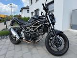 Suzuki SV 650 - nur 1.734 km - Top Zustand  - SUZUKI SV650S