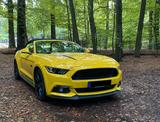 Ford Mustang 5.0 Ti-VCT V8 Black Shadow Edition B... - Ford Mustang mit Benzin-Antrieb: Cabrio, 5.0