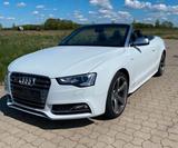 Audi S5 3.0 TFSI S tronic s-line quattro C... - Audi A6 mit Benzin-Antrieb: Cabrio