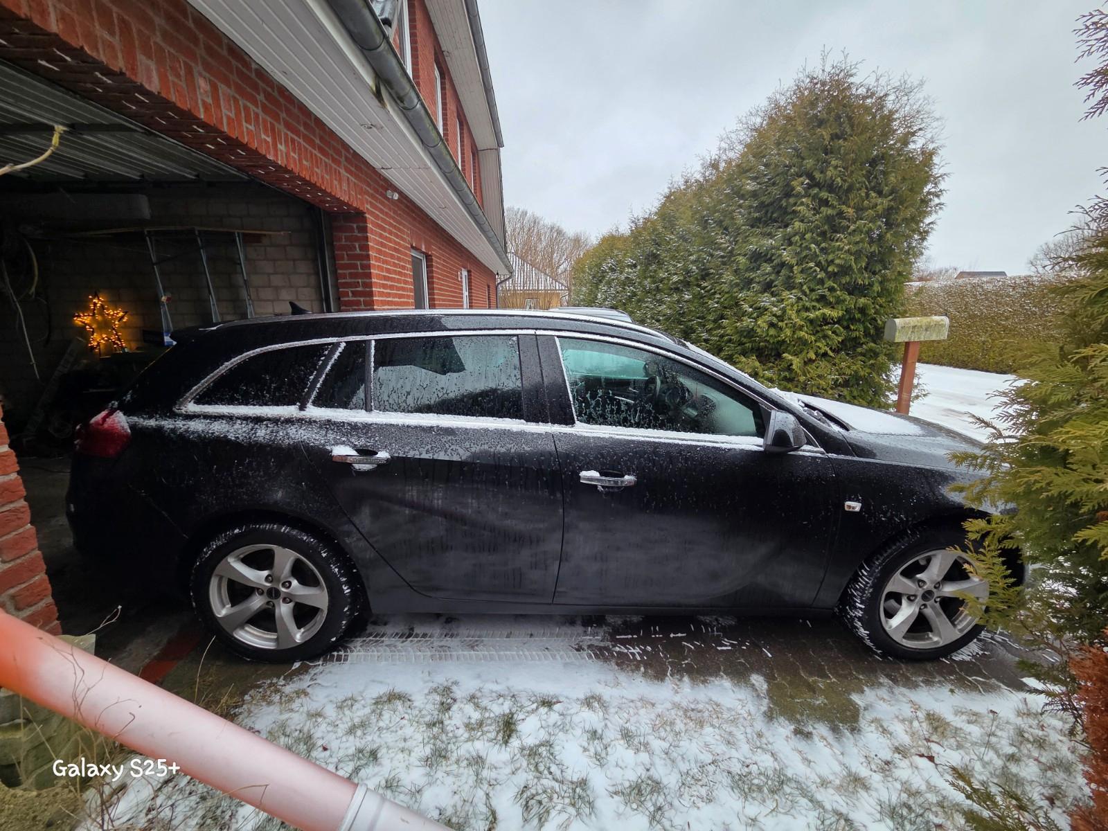 Opel Insignia 2010 — rear view
