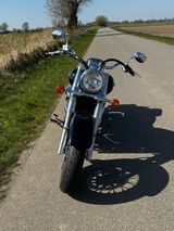 Suzuki VL 800 - Angebote entsprechen deinen Suchkriterien
