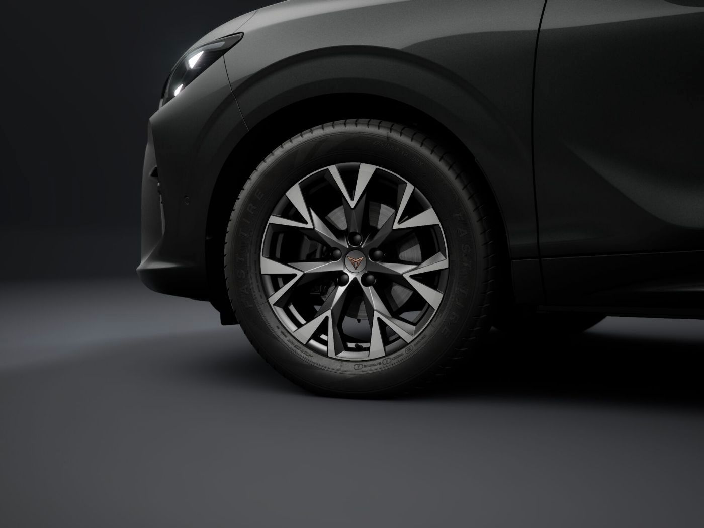 Cupra Terramar - Bild 5