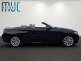 BMW 230i M Sport/H&K/LED/Open-Air/Scheckh.BMW - BMW 230 mit 3 Türen