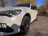 Alfa Romeo Stelvio 2.0 Turbo 16V 206kW B-Tech AT8-Q4 B-Tech - Alfa Romeo aus 2018