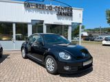 Volkswagen Beetle Lim. +Sitzheiz/Tempo/CD Radio+ - aus 2012: Kleinwagen