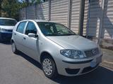 Fiat Punto Classic 1.2 5 porte PERMUTE - Fiat Punto: Classic