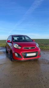 Kia Picanto  1.0 Edition wenig KM - Kia Picanto in Freiburg