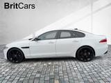 Jaguar XF Diesel D200 R-Dynamic SE WinterPak,Pano,20'' - Jaguar XF: Weiß