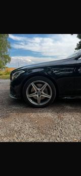 Mercedes-Benz C 300 Autom. - - Mercedes-Benz C 300 Gebrauchtwagen in Stuttgart