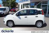 Fiat Panda Easy Klima I Isofix I HU+AU neu I - gebrauchte Fiat Panda aus dem Jahr 2019