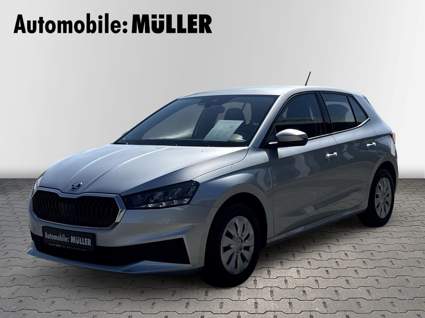 Skoda Fabia Active 1.0 MPI LED Sperrdiff. DAB Spurwech
