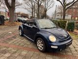 Volkswagen Beetle Cabrio - Volkswagen Beetle aus 2003: Cabrio