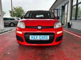 Fiat Panda 1.2 Easy/KLIMA/CITY/EU6 - Fiat Panda: Easy