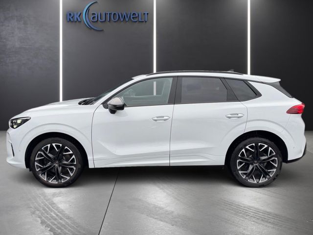Terramar 2.0 TSI 4Drive VZ AHK Pano HuD