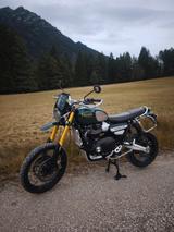Triumph Scrambler 1200 Steve Mc Queen - TRIUMPH SCRAMBLER