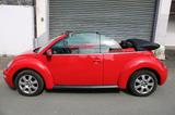 Volkswagen VW Beetle 1.6 TÜV NEU - Volkswagen Beetle aus 2004: Cabrio