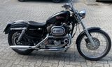 Harley-Davidson Sportster  XL 2     1200 Custom - Offers matching your search criteria
