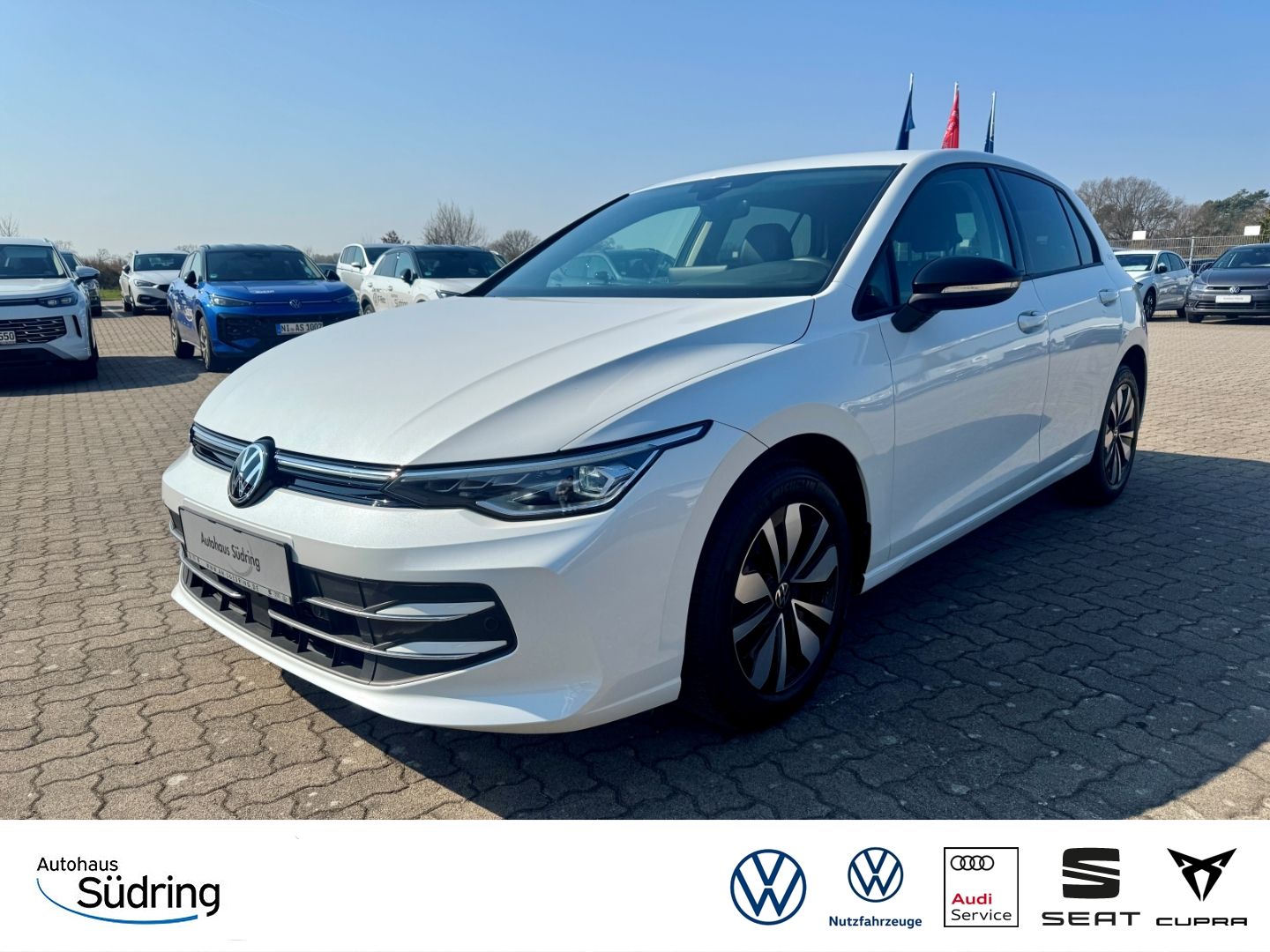 Golf VIII 2,0 TDI Goal DSG AHK Navi LED+ ACC