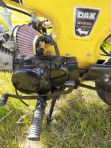 Honda DAX - Angebote