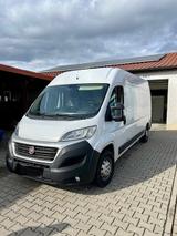 Fiat Ducato Kühltransporter Frischdienst 3 grad - Kühltransporter