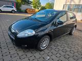 Fiat Punto 1,4l AHK TÜV und Service Neu Bj... - Fiat Punto aus 2009: 1.4