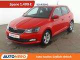 Skoda Fabia 1.0 TSI Ambition*TEMPO*PDC*SHZ*KLIMA* - Skoda Fabia Gebrauchtwagen in Leipzig
