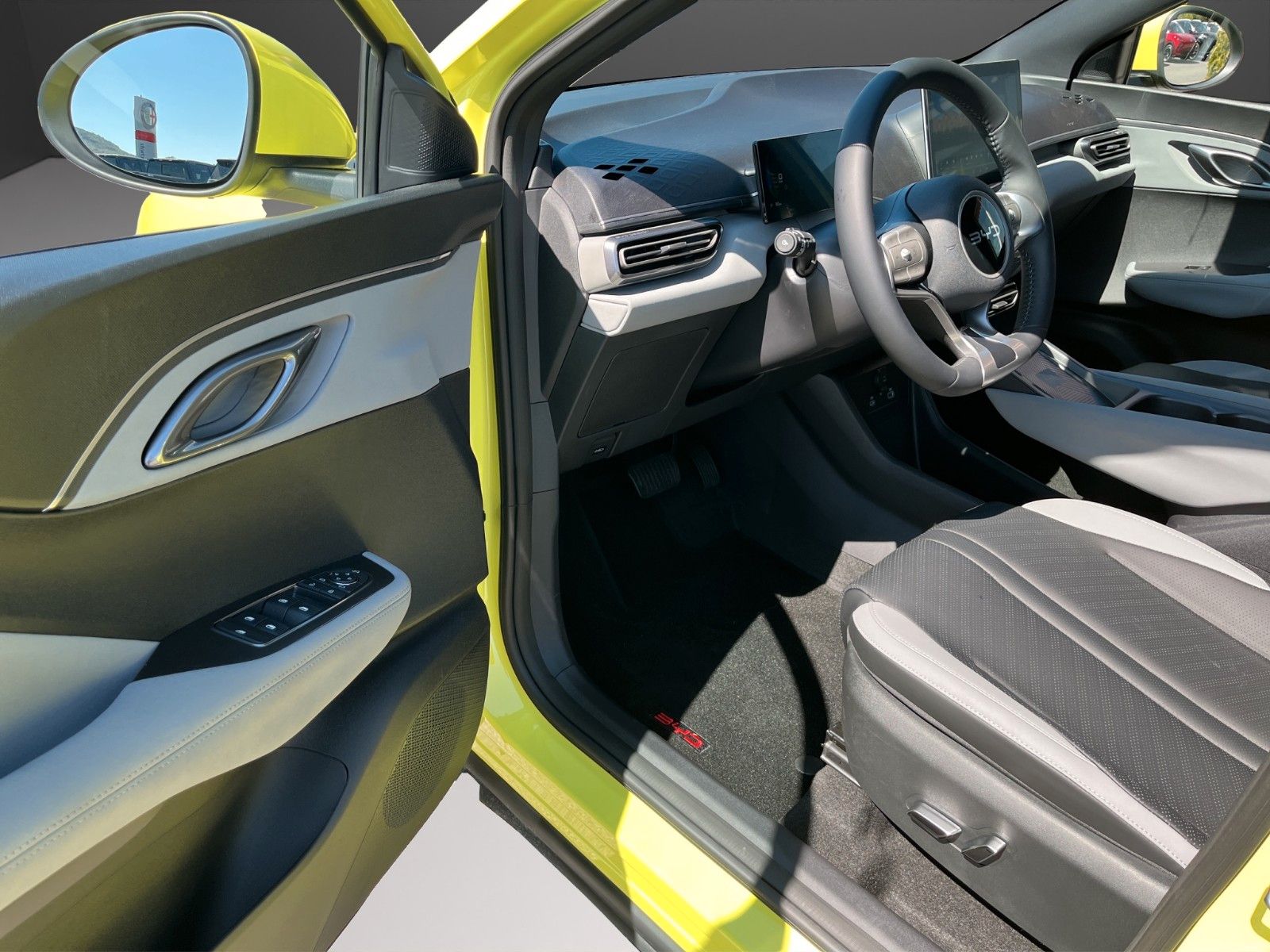 BYD DOLPHIN SURF